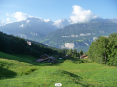 Bildschirmfoto 2018-04-24 um 11.08.44.png